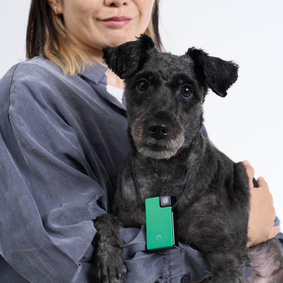 女性が抱える犬が付属のストラップを用いて Saveclip を装着している様子。