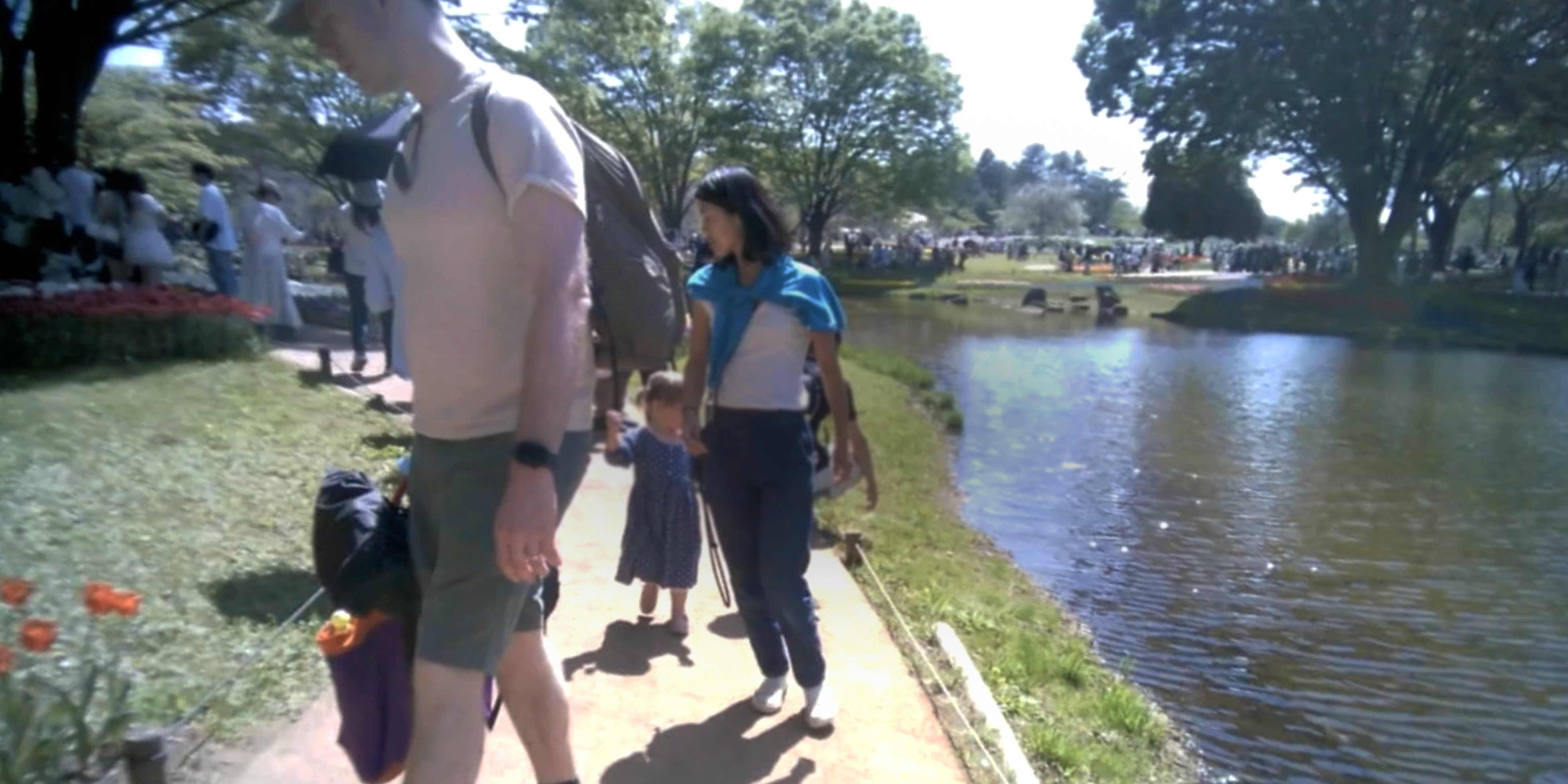 A travel scene captured with Saveclip.